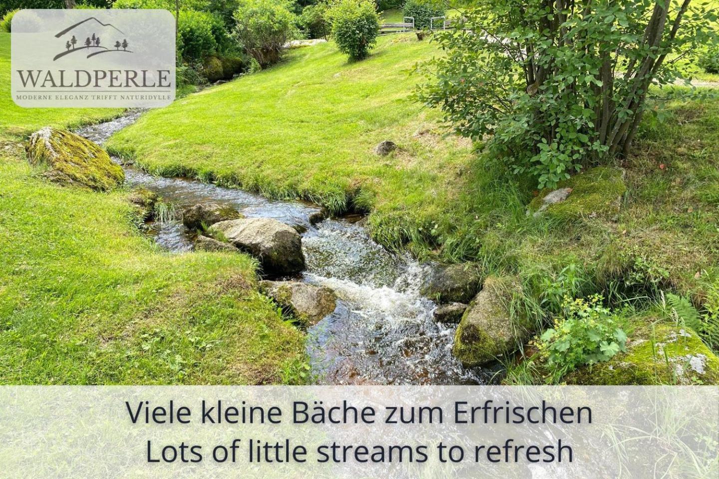 סכונאץ' Exklusives 5-Sterne Apartment Waldperle Mit Indoor-Pool, Sauna, Top Lage Und Ausblick In Die Natur, Hunde Willkommen מראה חיצוני תמונה