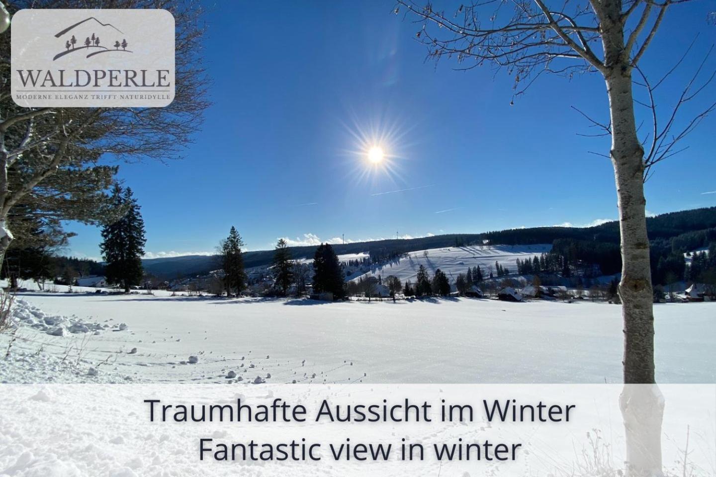 סכונאץ' Exklusives 5-Sterne Apartment Waldperle Mit Indoor-Pool, Sauna, Top Lage Und Ausblick In Die Natur, Hunde Willkommen מראה חיצוני תמונה